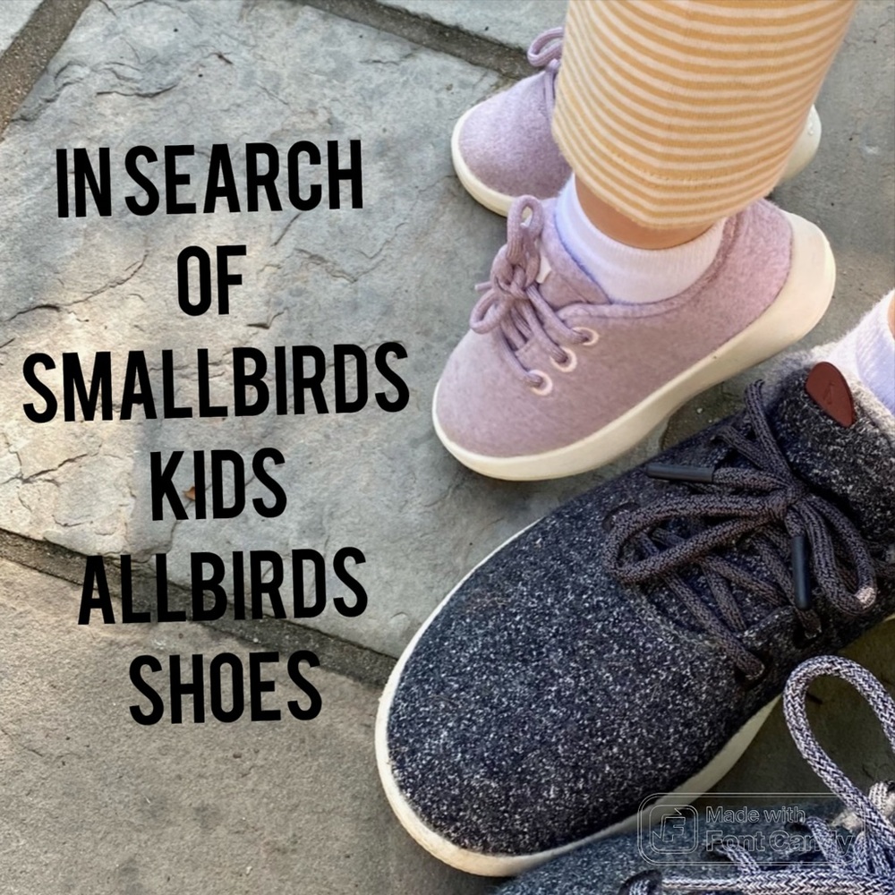 In Search of SmallBirds Kids AllBirds shoes!